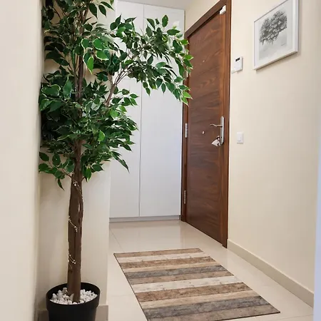 Golf Park Sunny Cozy Penthouse Near The Ocean With Large Double Terraces, Fiber Wifi, 3 Pools, New Bbq South Tenerife Apartament San Miguel de Abona
