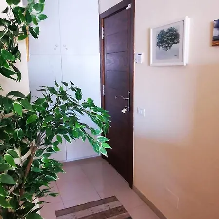 Daire Golf Park Sunny Cozy Penthouse Near The Ocean With Large Double Terraces, Fiber Wifi, 3 Pools, New Bbq South Tenerife